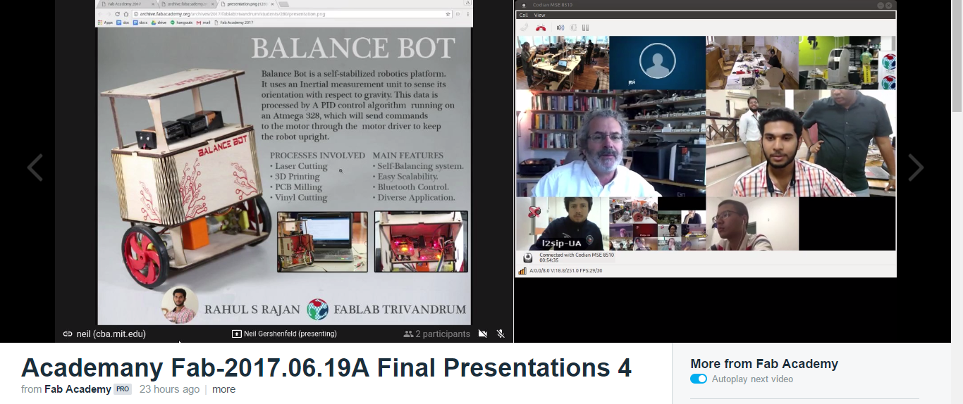 Self balancing gyro robot  